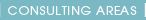 Consulting Areas